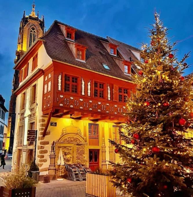 Le Petit Bali Apartment Selestat Bagian luar foto