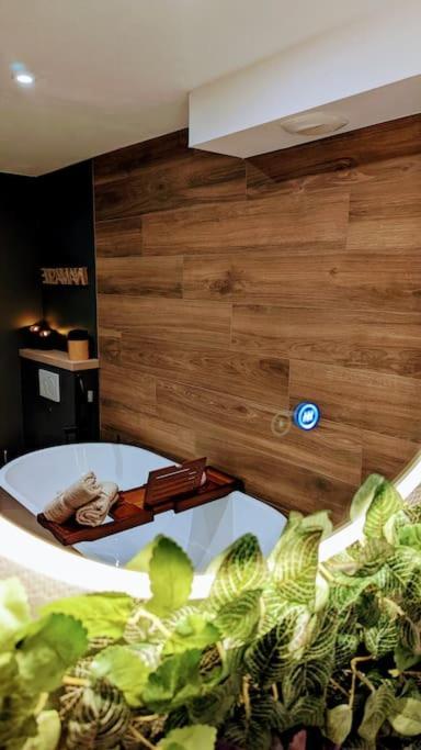 Le Petit Bali Apartment Selestat Bagian luar foto