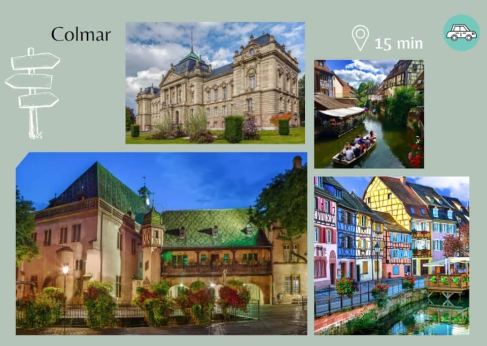 Le Petit Bali Apartment Selestat Bagian luar foto