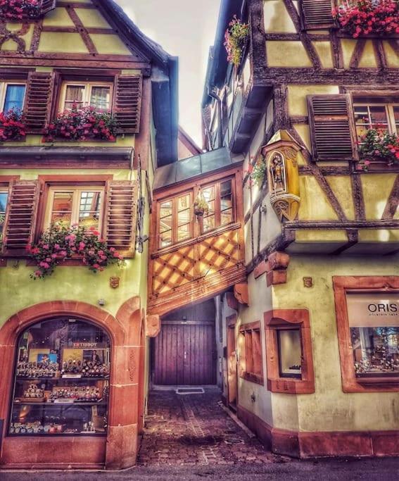 Le Petit Bali Apartment Selestat Bagian luar foto