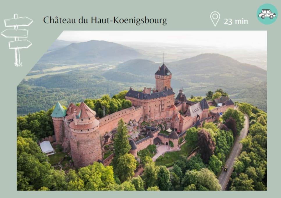 Le Petit Bali Apartment Selestat Bagian luar foto