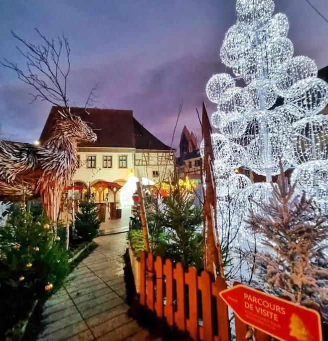 Le Petit Bali Apartment Selestat Bagian luar foto
